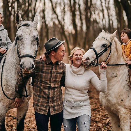 Tmbin'S Barn - Nature, Horses, Family Сезана Экстерьер фото