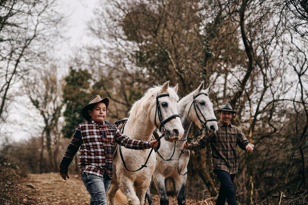 Tmbin'S Barn - Nature, Horses, Family Сезана Экстерьер фото